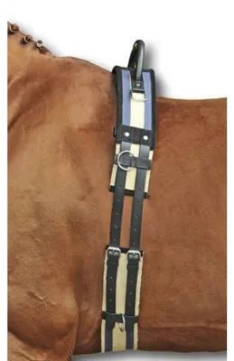Immagine prodotto di Sottopancia HKM con maniglia BLU SCURO/BEIGE, taglia pony