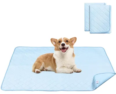 Hundetrainingspads, 2 Stück, 92x122 cm, waschbar, superabsorbierend