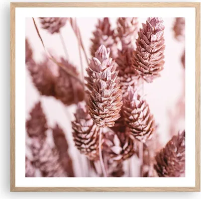 Produktbild von Gerahmtes Poster - Rahmen in heller Eiche - Getrocknet Blume Eco - 60x60 cm - Wand Bild - Wanddeko - Wandbilder - Kunstposter - Wandposter - Bilderrahmen - Bilder - Kunstdruck - P2NAC60x60-4912
