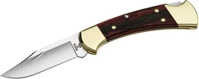 Immagine prodotto di Buck Knives buck pieghevole ranger semplice 0112BRSB