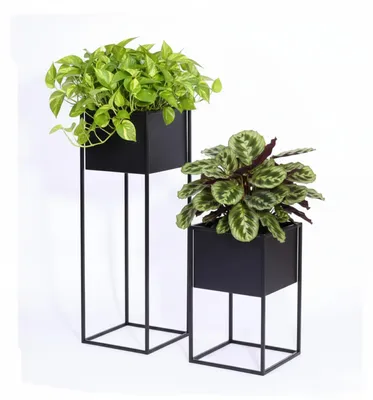 Produktbild von Anwicar Blumenständer Metall Schwarz Set 2 (Höhe 40 & 70 cm) Blumenregal Indoor