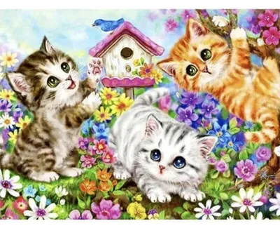 Produktbild von Maaleo 22781 Malen nach Zahlen – Katzen 40 x 50 cm