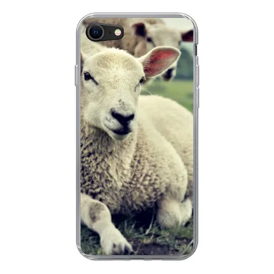 Produktbild von MuchoWow® Handyhülle Schutzhülle Hülle für iPhone SE 2022 Schaf - Lamm - Gras Silikon Softcase Handy Hülle - Schutzhülle