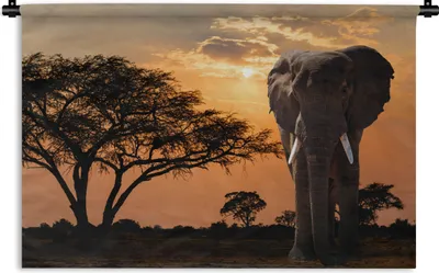 Produktbild von MuchoWow® Wandteppich Wandbehang Elefant - Baum - Afrika 60x40 cm Tapisserie Dekoration Wandtuch - Wanddekorationen