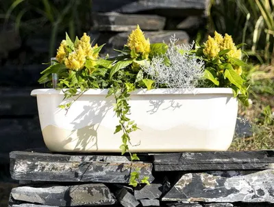 Produktbild von Geländerkasten, Blumentopf, Blumen, Selbstbewässerung, 80 cm, 15L, Sand/beige