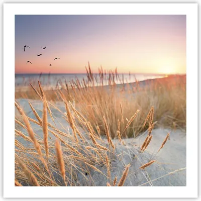 Produktbild von Poster - Poster ohne Rahmen - Sonne Vögel Sand - 60x60 cm - Wand Bild - Wanddeko - Wandbilder - Kunstposter - Wandposter - Bilder - Kunstdruck - Wanddekoration - Wandbild - P2XAC60x60-4810