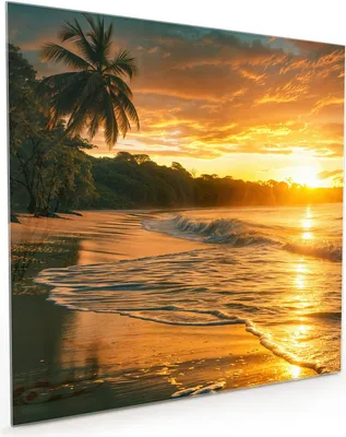 Produktbild von Küchenrückwand Spritzschutz Glas mit Motiv Sonnenuntergang Strand 40 x 40 cm