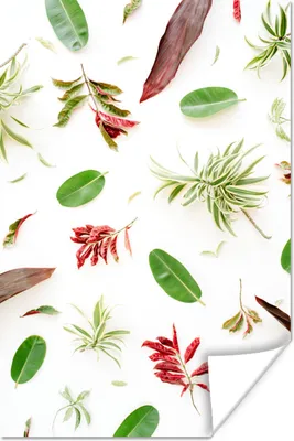 Produktbild von MuchoWow® Poster Tropisch - Blatt - Rot 20x30 cm - Papierdruck