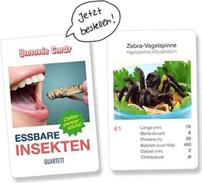 Produktbild von Kartenspiel-Quartett - Essbare Insekten