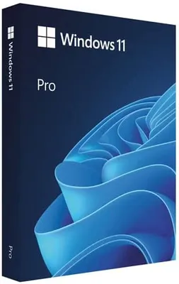 Zdjęcie produktu dla Microsoft Windows 11 Professional (angielski)