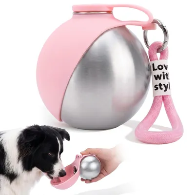 Hundetrinkflasche 285 ml Edelstahl mit faltbarem Silikon-Trinknapf