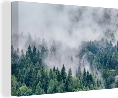 Produktbild von OneMillionCanvasses® - Leinwandbilder - 140x90 cm, Wald - Nebel - Bäume, Wandbilder Kunstdruck Wanddekoration