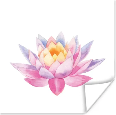 Produktbild von MuchoWow® Poster Aquarell - Blume - Seerose 100x100 cm - Babyzimmer