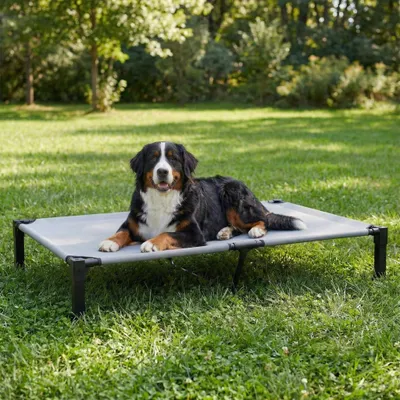 Imagen del producto de Cama elevada para perros, tamaño XXL, 152x92x24 cm, con malla de alta calidad