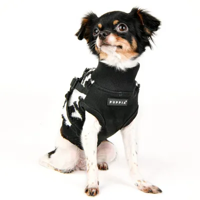 Produktbild von Puppia Brustgeschirr Serval J für kleine und mittelgroße Hunde, verstellbar, Schwarz, Größe L