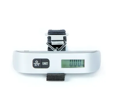 Produktbild von DOMO Reisegepäckwaage DO9090W Silbern