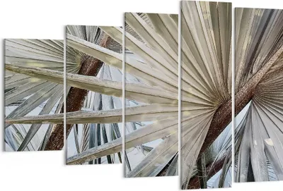 Produktbild von Bild auf Leinwand - Leinwandbild - 5 Teile - Blatt Palme Natur - 150x100cm - Wand Bild - Wanddeko - Wandbilder - Leinwanddruck - Bilder - Wanddekoration - Leinwand bilder - Wandbild - EG150x100-5056