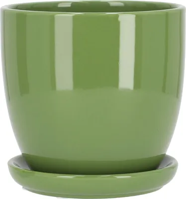 A green ceramic plant pot with a matching saucer, shown against a white background.