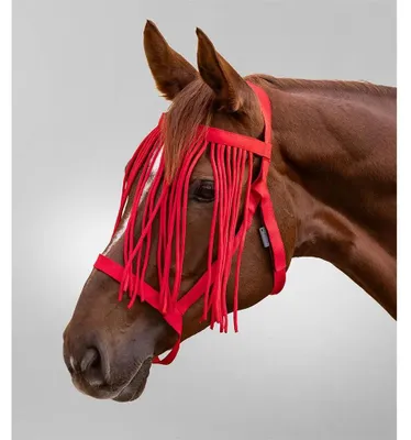 Image de Waldhausen Licol de pâturage avec franges anti-mouches, Taille:Plein-sang, Couleur:Rouge