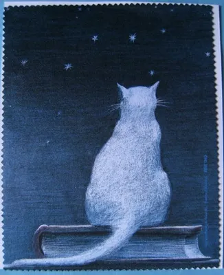 Produktbild von Reinigungstuch Katze auf Buch, Microfasertuch Reinigungstücher Brillenputztücher Tücher