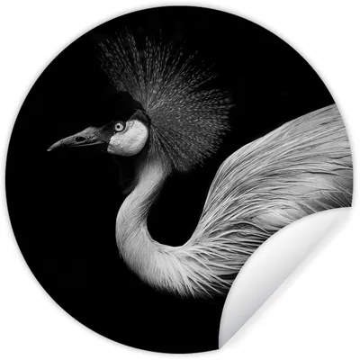 Produktbild von MuchoWow® Runde Wandtattoo - Wandsticker Tapete Aufkleber Kranich - Schwarz - Weiß - Vogel - Tiere Ø 50 cm Selbstklebend und Repositionierbar - Wandaufkleber - Kreis - Wand Kreis - Wand Bild - Foto Tapete - Selbstklebende - Wohnzimmerdekoration - Wand Dekoration - Kinderzimmer