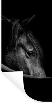 Produktbild von MuchoWow® Wandtattoo Wandsticker Wandaufkleber Pferde - Porträt - Schwarz - Tiere 20x40 cm Selbstklebend und Repositionierbar - Selbstklebend - Fototapeten