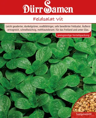 Produktbild von Feldsalat Vit 250 g | Feldsalatsamen von Dürr Samen