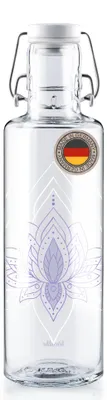 Imagen del producto de Botella de vidrio de 0,6 litros, sin plástico, vegana, sostenible, para la cocina
