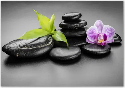 Produktbild von Tulup® Leinwandbild - 100x70 cm - Wandkunst - Drucke auf Leinwand - Leinwanddruck  - Blumen & Pflanzen - Schwarz - Zen Steine