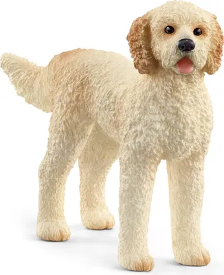 Produktbild von Schleich schleich® Farm World 13939 Goldendoodle