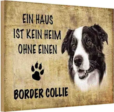 Produktbild von vianmo Holzschild 20x30 cm Border Collie Hund Tier Haustier