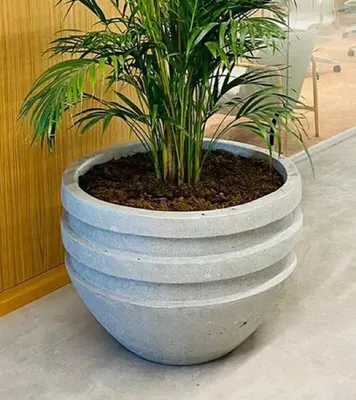 Produktbild von Casa Padrino Luxus Beton Blumentopf Grau Ø 80 x H. 60 cm - Wohnzimmer & Garten Deko Pflanzentopf