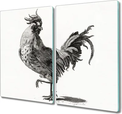 Produktbild von Coloray Schneidebrett Herdabdeckplatte 2x30x52 cm Kochplattenabdeckung Hackbrett Küchenbrett - Tier Vogel Huhn