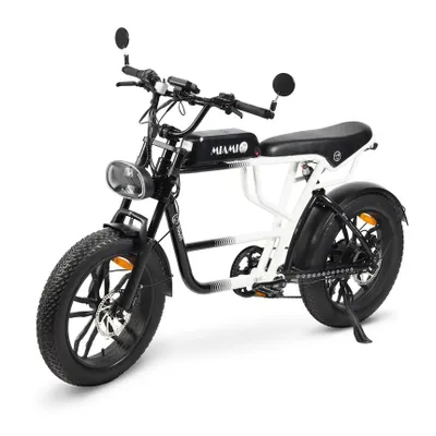 Produktbild von 20 Zoll Fat Tire E-Bike 250W 43Nm, 720Wh Akku, bis 100 km, 7-Gang, hydraulische Scheibenbremsen