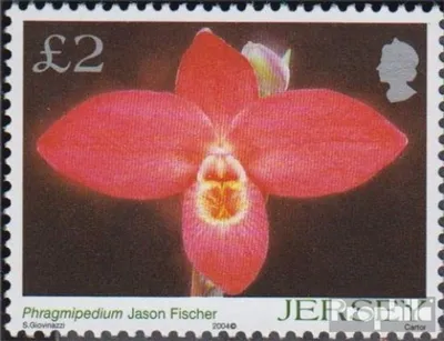 Produktbild von Briefmarken GB - Jersey 2004 Mi 1135 (kompl.Ausg.) postfrisch Orchideen