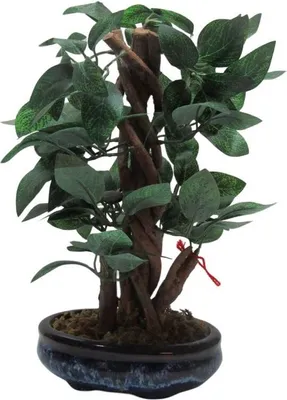 Produktbild von Bonsai Baum im Topf Kunstpflanze Deko Pflanze Kunstbaum H23 cm