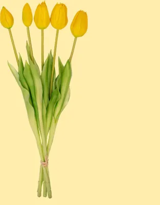 Produktbild von Tulpenstrauß – 5 Stück – Verschiedene Farben – ‘Real Touch’ Kunsttulpen – 42 cm