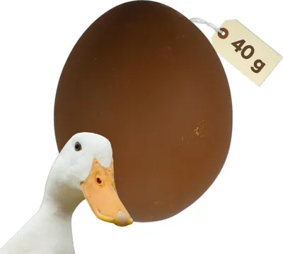 Produktbild von Nesteier Aus Gips Künstliche Bruteier Legeeier Kunsteier Falsche Eier Gips Enteneier Attrape Gipseier Für Enten Bruthilfe Künstliche Eier