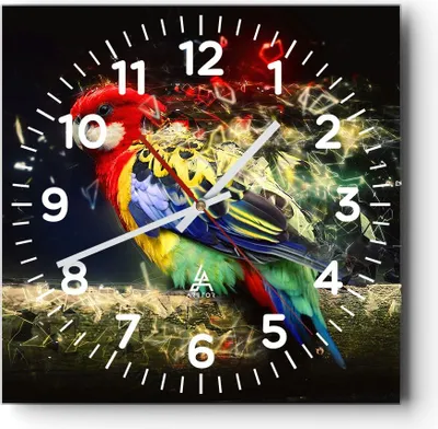 Produktbild von Wanduhr - Quadrat - Glasuhr - Papagei Vogel Feder - 40x40cm - Schleichendes Uhrwerk - Lautlos - zum Aufhängen bereit - Dekoration Modern - Wanddekoration aus Glas - C4AC40x40-3682