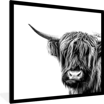 Produktbild von MuchoWow® Gerahmtes Poster Schottischer Highlander - Horn - Schwarz - Weiß 40x40 cm - Poster mit Schwarzem Bilderrahmen Wandposter Rahmen Foto Bilder - Mit Rahmen - Wanddekoration Schlafzimmer