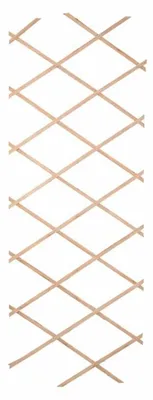 Image de DOCHTMANN Clôture en treillis en bois 180 x 90 cm
