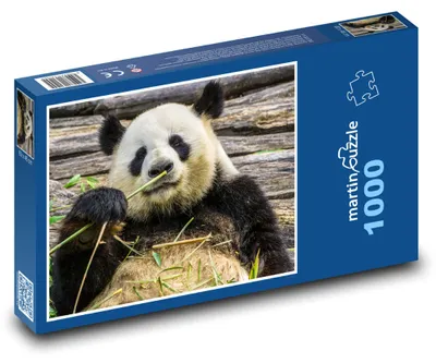 Zdjęcie produktu dla martinpuzzle - Puzzle 1000 elementów - Panda