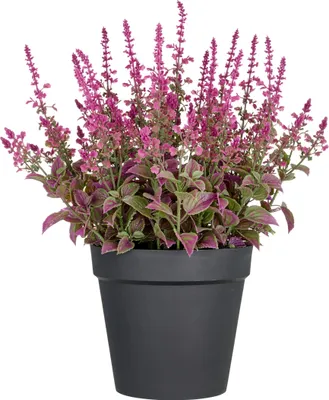 Produktbild von Kunstpflanze Ziersalbei H 65 cm pink