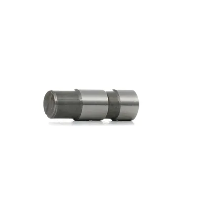 Image de FEBI BILSTEIN Tendeur, chaîne de distribution Article : 05619