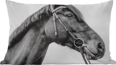 Produktbild von MuchoWow® Zierkissen Sofakissen Wohnzimmer Dekokissen 50x30 cm Pferd - Halfter - Porträt - Wohnzimmerdekoration - Polster mit Photo