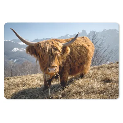 Produktbild von MuchoWow® Mauspad Mousepad Schottischer Highlander - Berg - Schnee 27x18 cm - Mousepads - Maus Mat - Pad - Mausunterlage - Büroartikel - Desk Matten