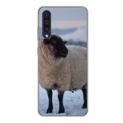 Produktbild von MuchoWow® Handyhülle Schutzhülle Hülle für Samsung Galaxy A50 Schaf - Schnee - Berg Silikon Softcase Handy Hülle - Mobiltelefonhülle