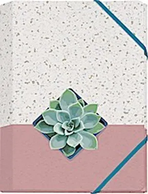 Produktbild von Plant it - Love it! Mini-Sammelmappe - Motiv Sukkulente