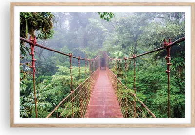 Produktbild von Gerahmtes Poster - Rahmen in heller Eiche - Brücke ausgesetzt Costa Rica - 91,5x61 cm - Wand Bild - Wanddeko - Wandbilder - Kunstposter - Wandposter - Bilderrahmen - Bilder - P2NAA91x61-4923