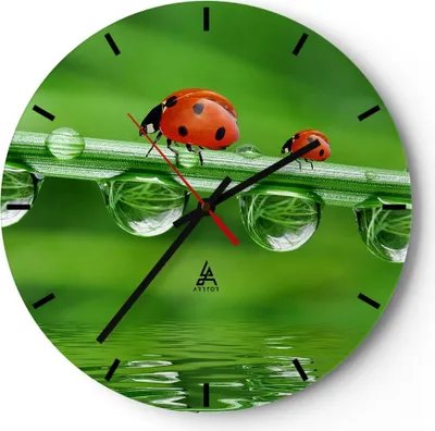 Produktbild von Wanduhr - Rund - Glasuhr - Marienkäfer Wasser Grün Umwelt - 40x40cm - Schleichendes Uhrwerk - Lautlos - zum Aufhängen bereit - Dekoration Modern - Wanddekoration aus Glas - C3AR40x40-2661